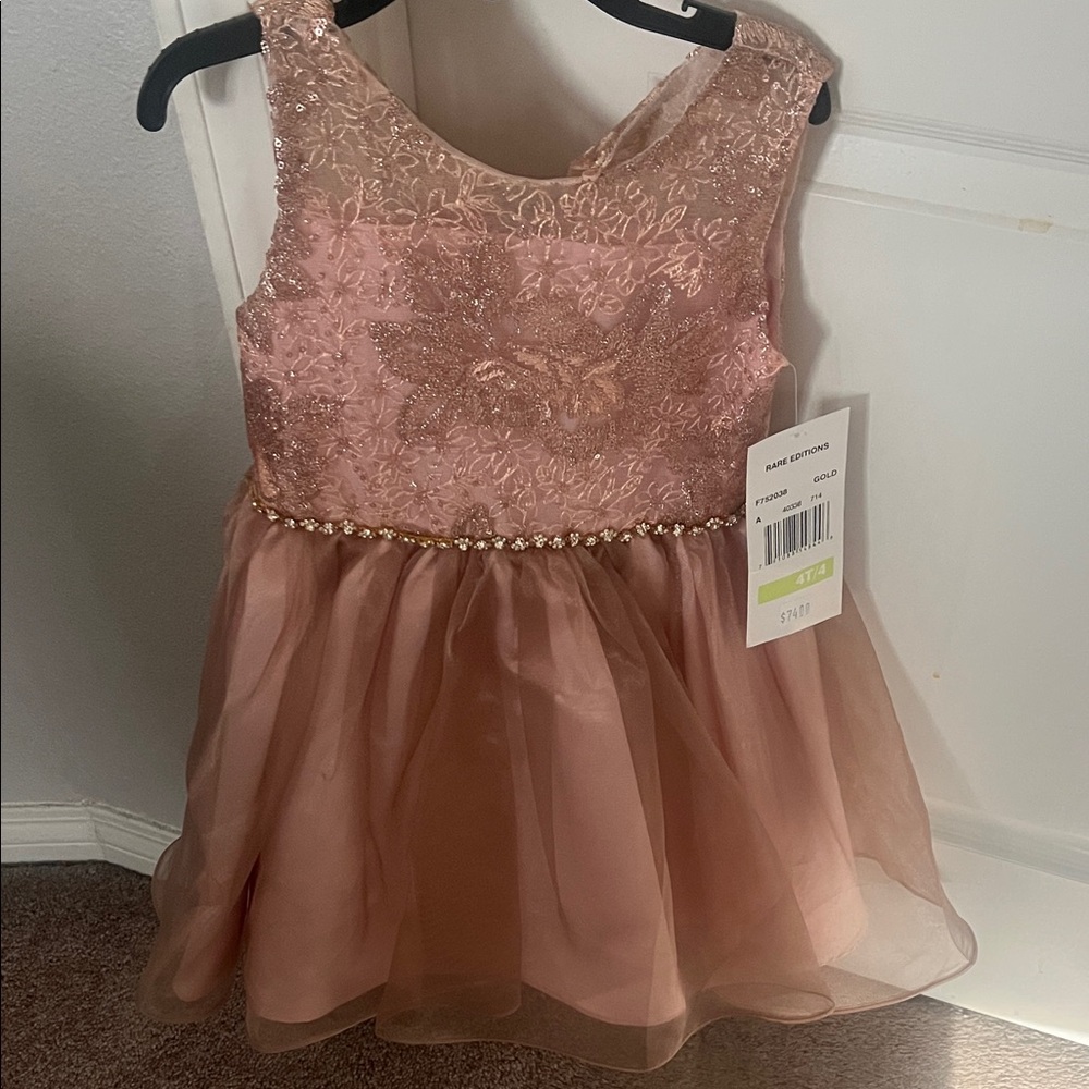 Rare Editions Pink Floral Lace Kids Dress